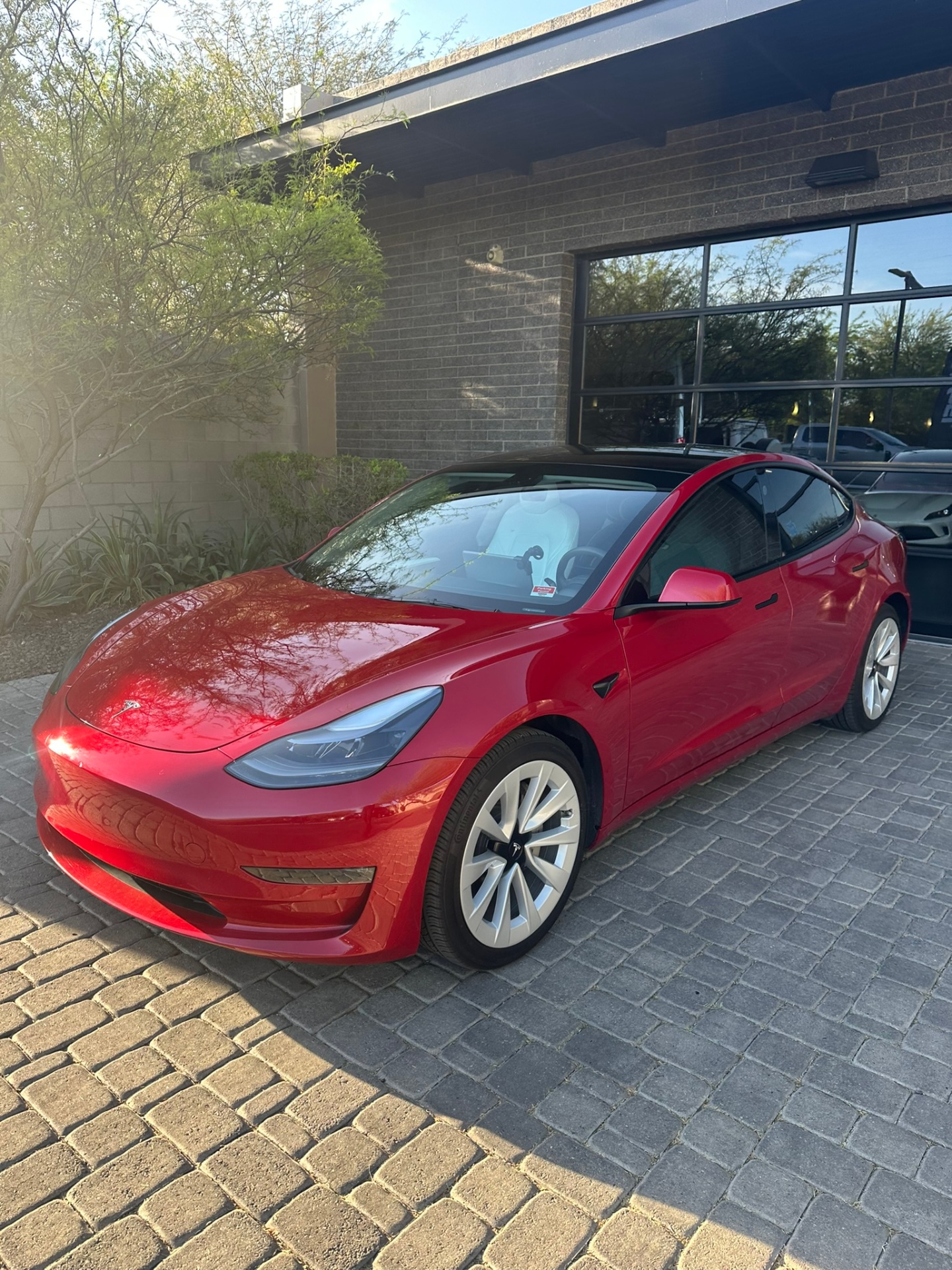 Tesla PPF result 6