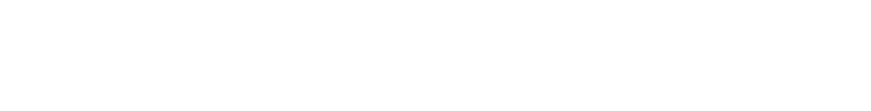 A 101 Motors Company