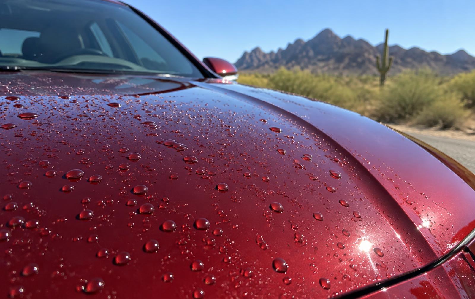 Water beading on a ceramic coated red car hood in the Arizona sun